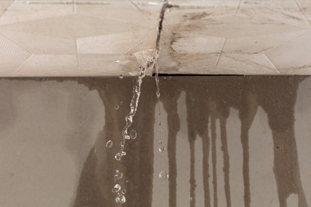 Professional Water Extraction technician working in Pinetops, NC